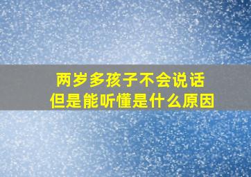 两岁多孩子不会说话 但是能听懂是什么原因